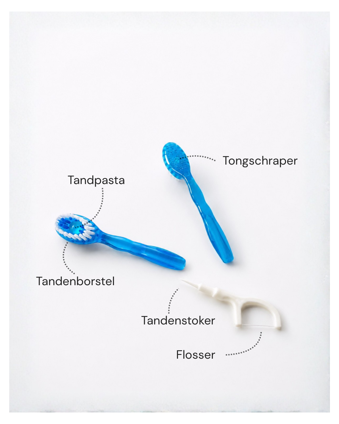 5 in 1 Reis Tandenborstel 12st | Munt